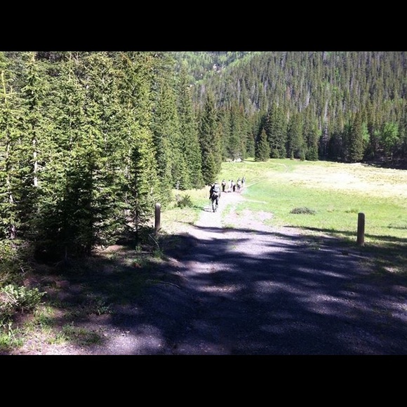 Meet your Posher, Jude - Picture 3 of 5